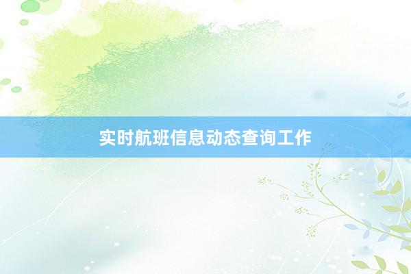 实时航班信息动态查询工作