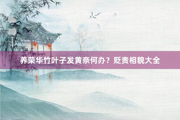 养荣华竹叶子发黄奈何办？贬责相貌大全