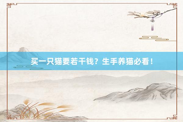 买一只猫要若干钱？生手养猫必看！
