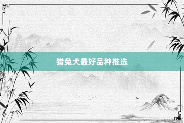 猎兔犬最好品种推选